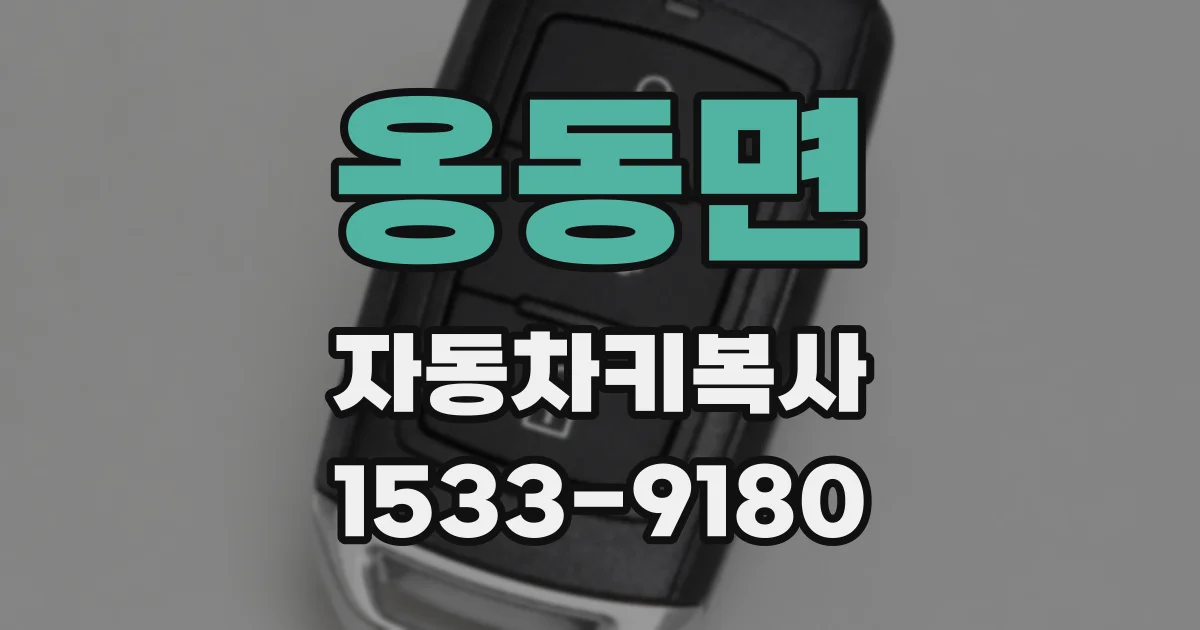 옹동면 자동차키복사