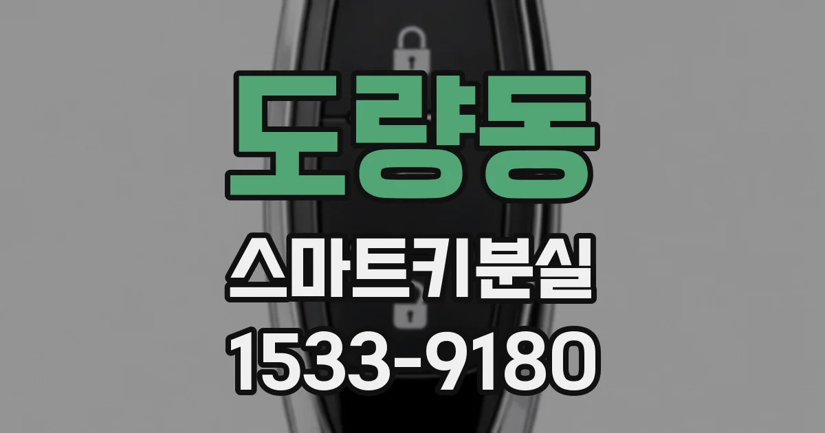 도량동 스마트키분실