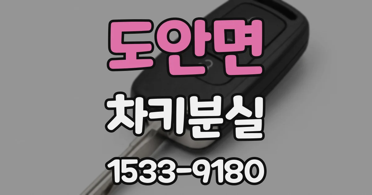 도안면 차키분실