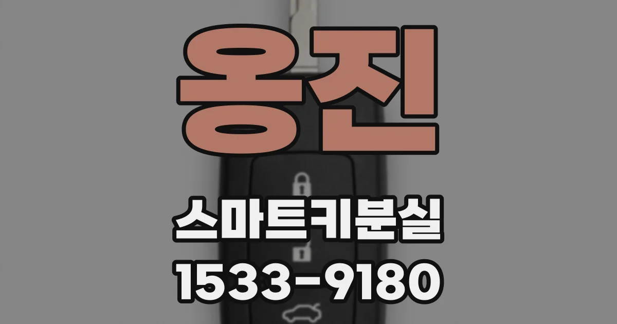 옹진 스마트키분실