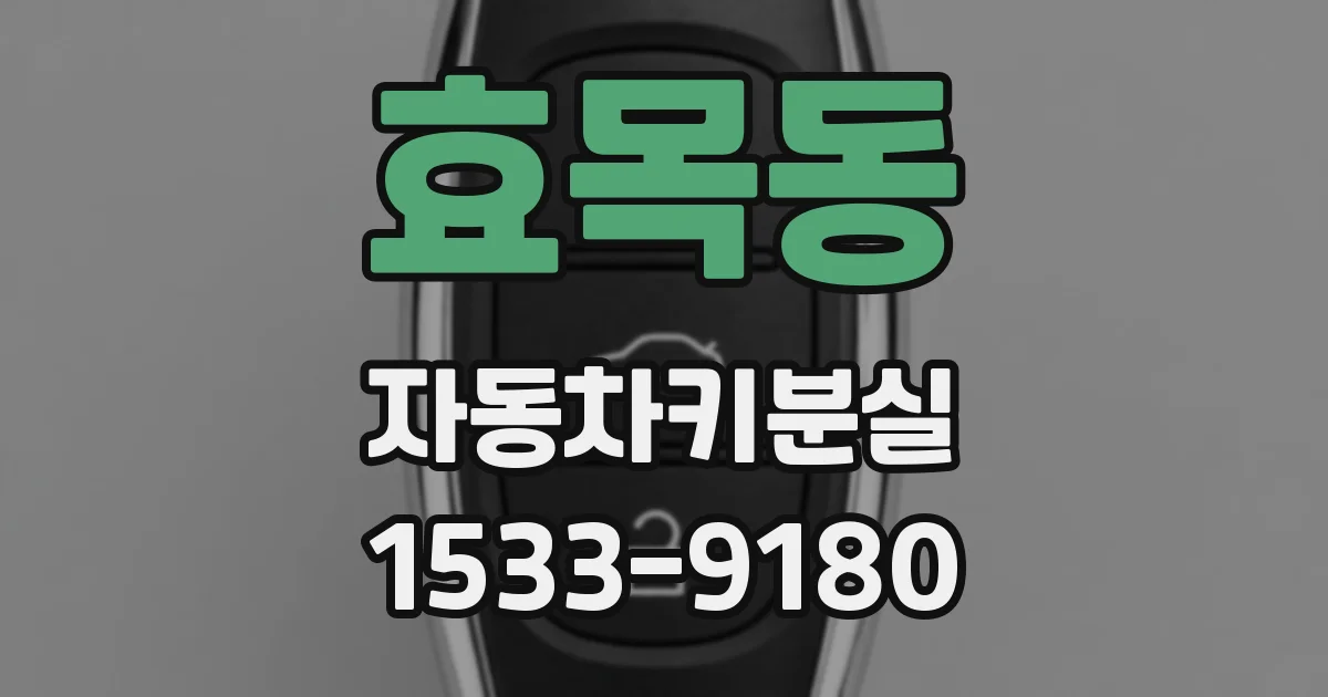 효목동 자동차키분실