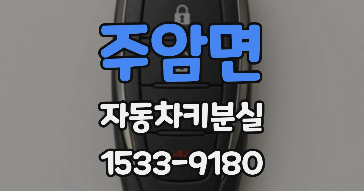 주암면 자동차키분실