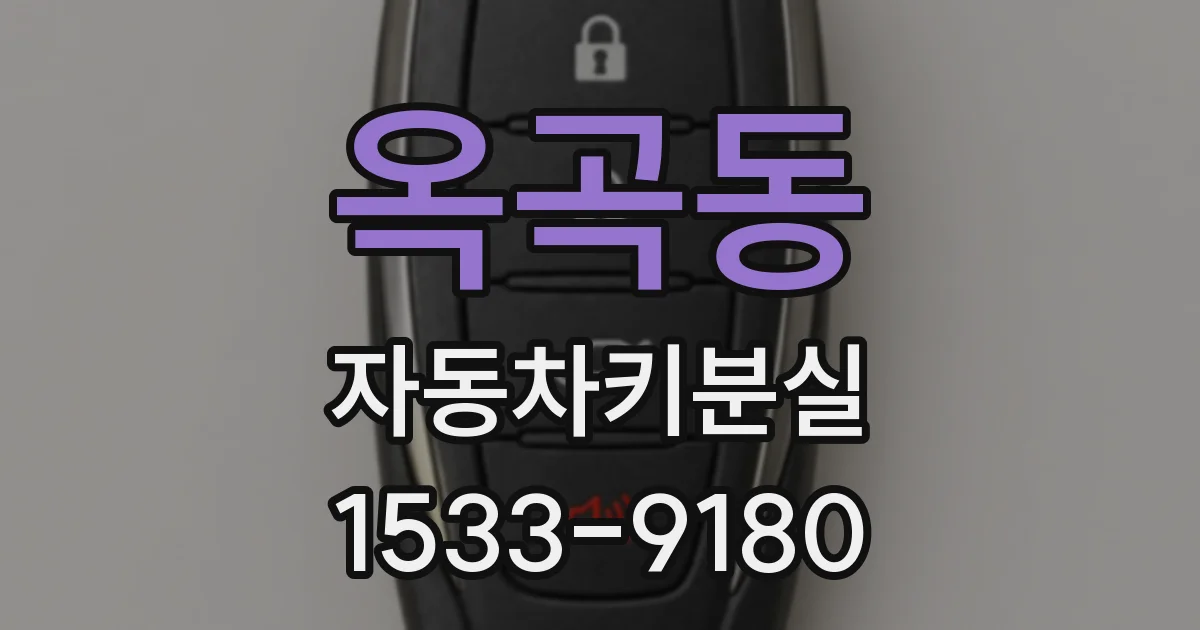 옥곡동 자동차키분실