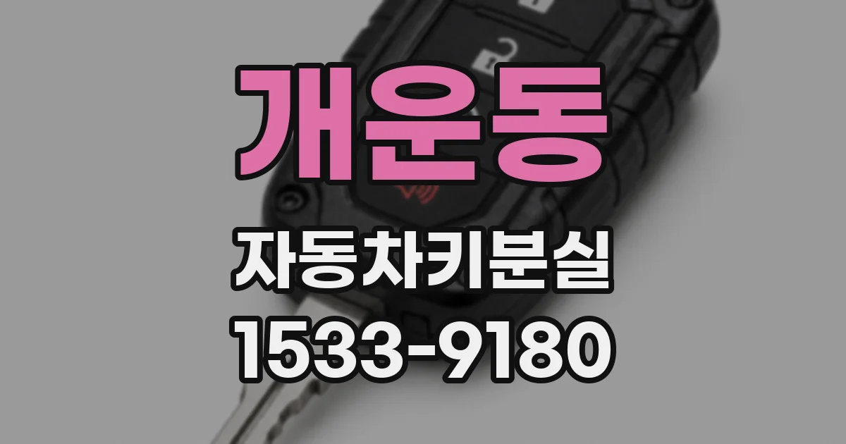 개운동 자동차키분실