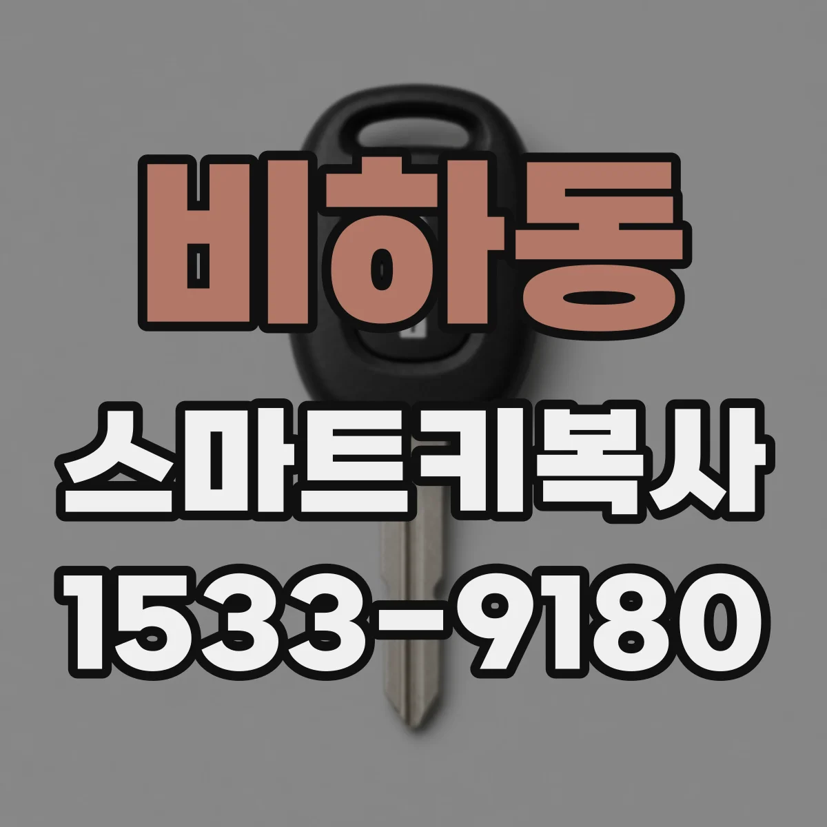 비하동 스마트키복사