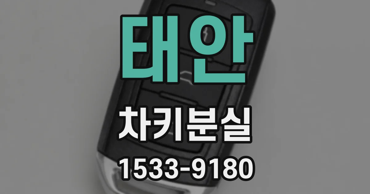 태안 차키분실