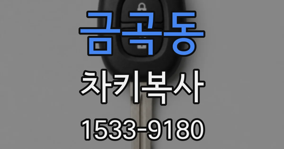 금곡동 차키복사