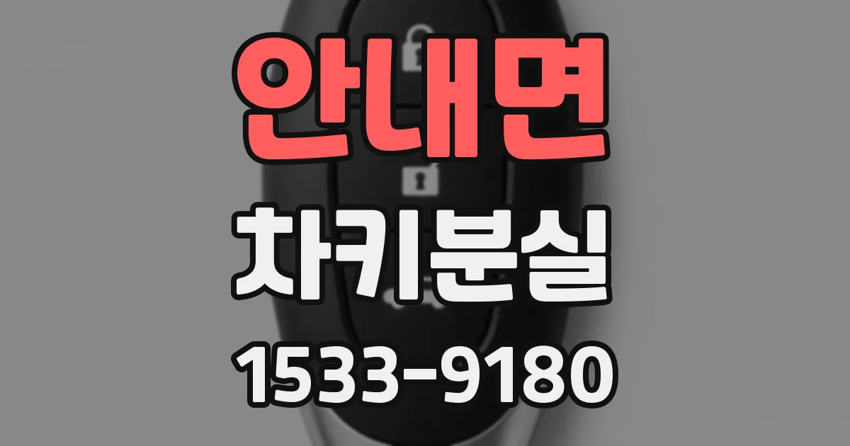 안내면 차키분실
