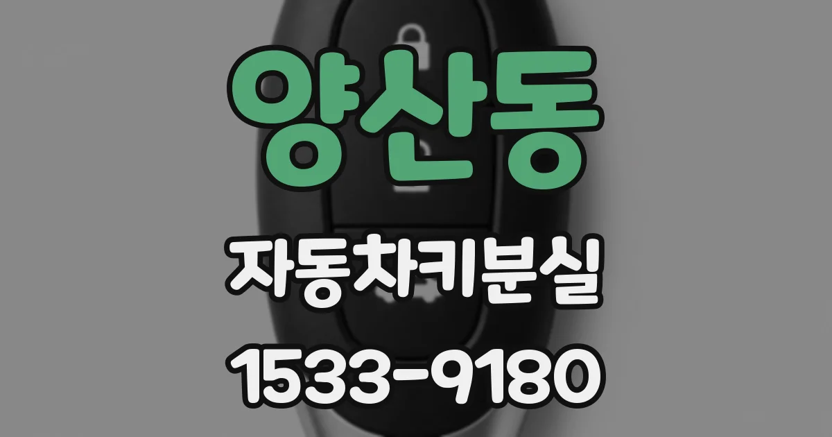 양산동 자동차키분실