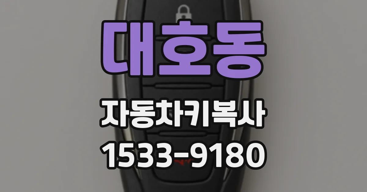 대호동 자동차키복사