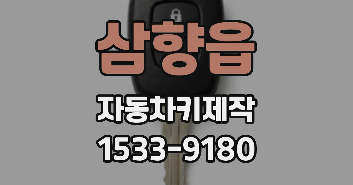 삼향읍 자동차키제작