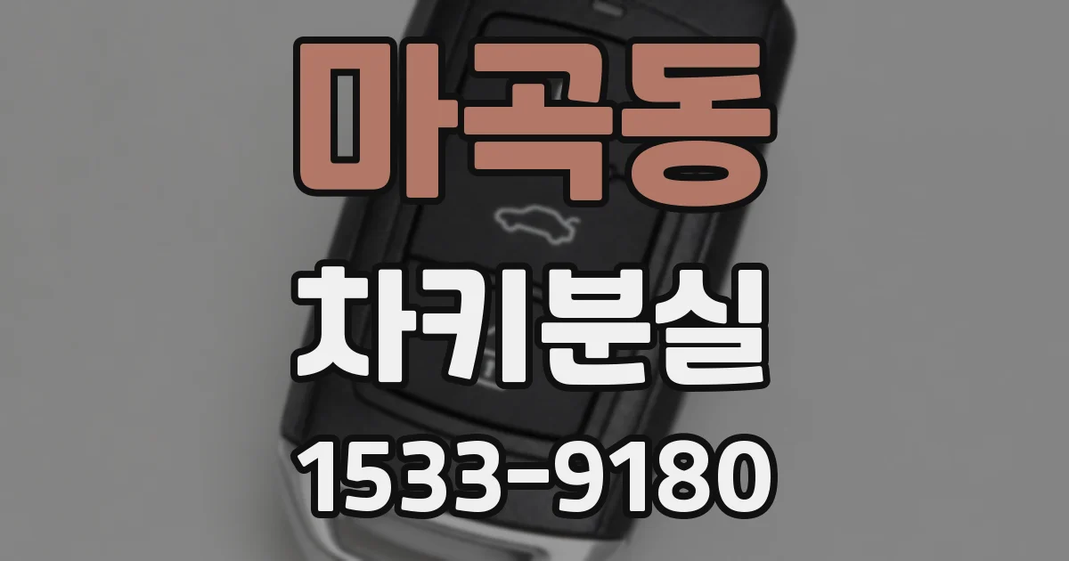 마곡동 차키분실