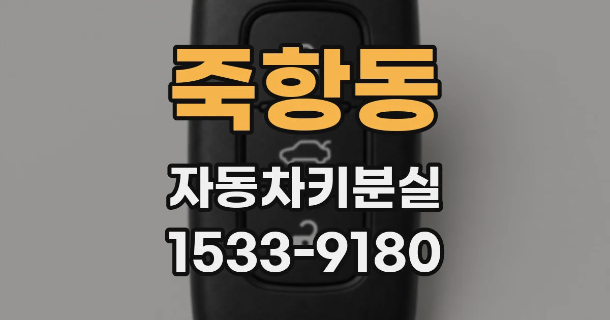 죽항동 자동차키분실