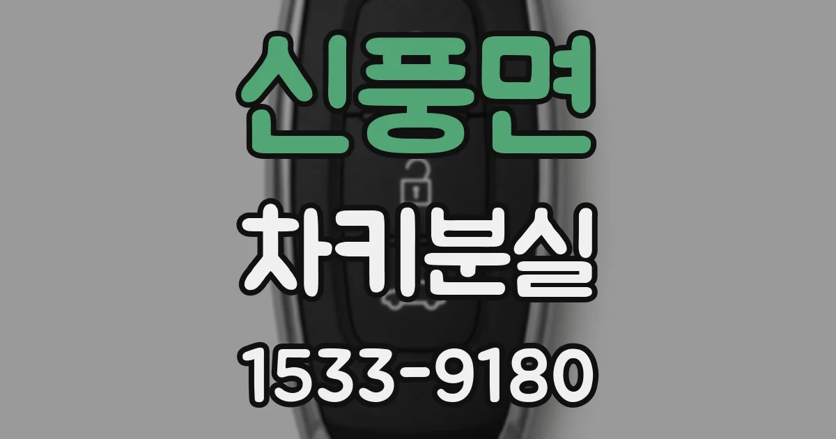 신풍면 차키분실