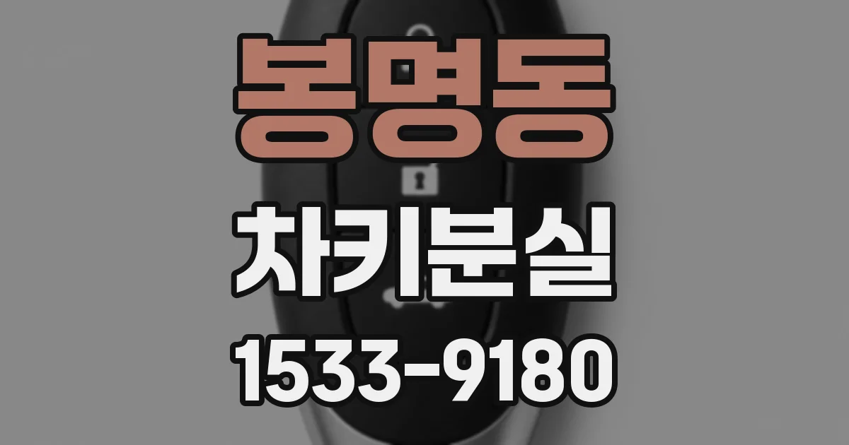 봉명동 차키분실