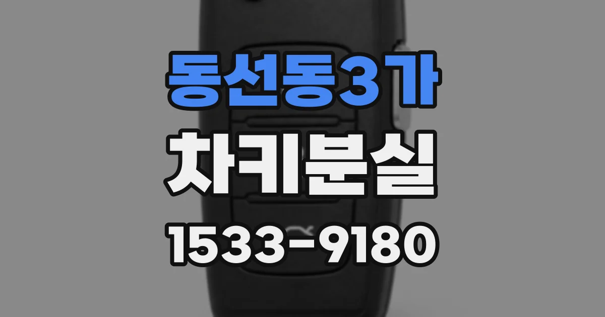 동선동3가 차키분실