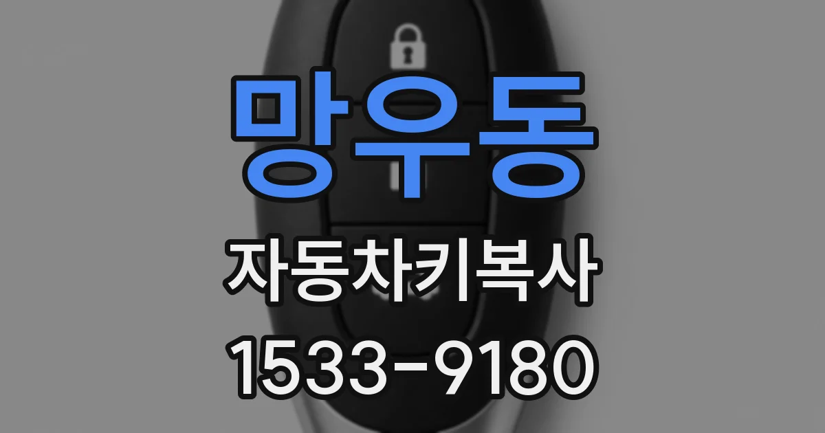 망우동 자동차키복사