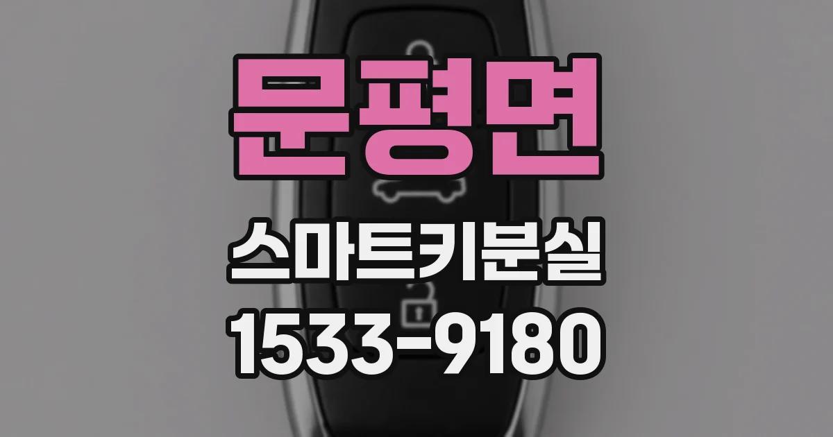 문평면 스마트키분실