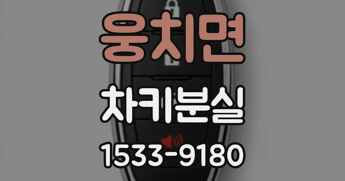 웅치면 차키분실