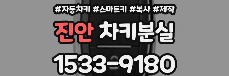 진안 차키분실