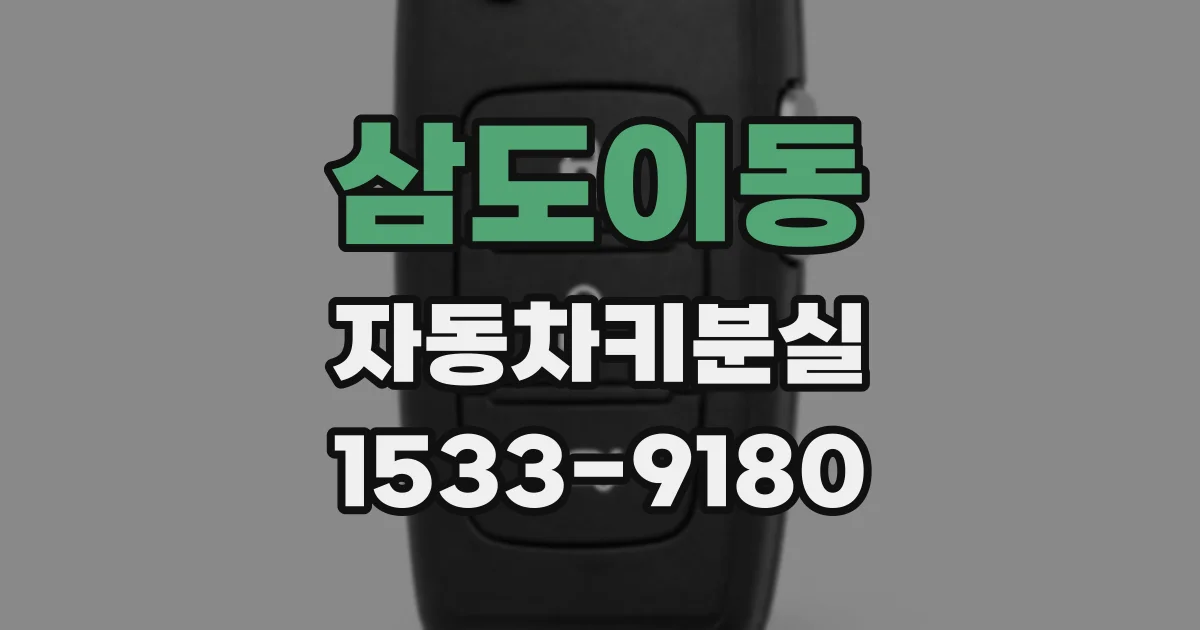 삼도이동 자동차키분실