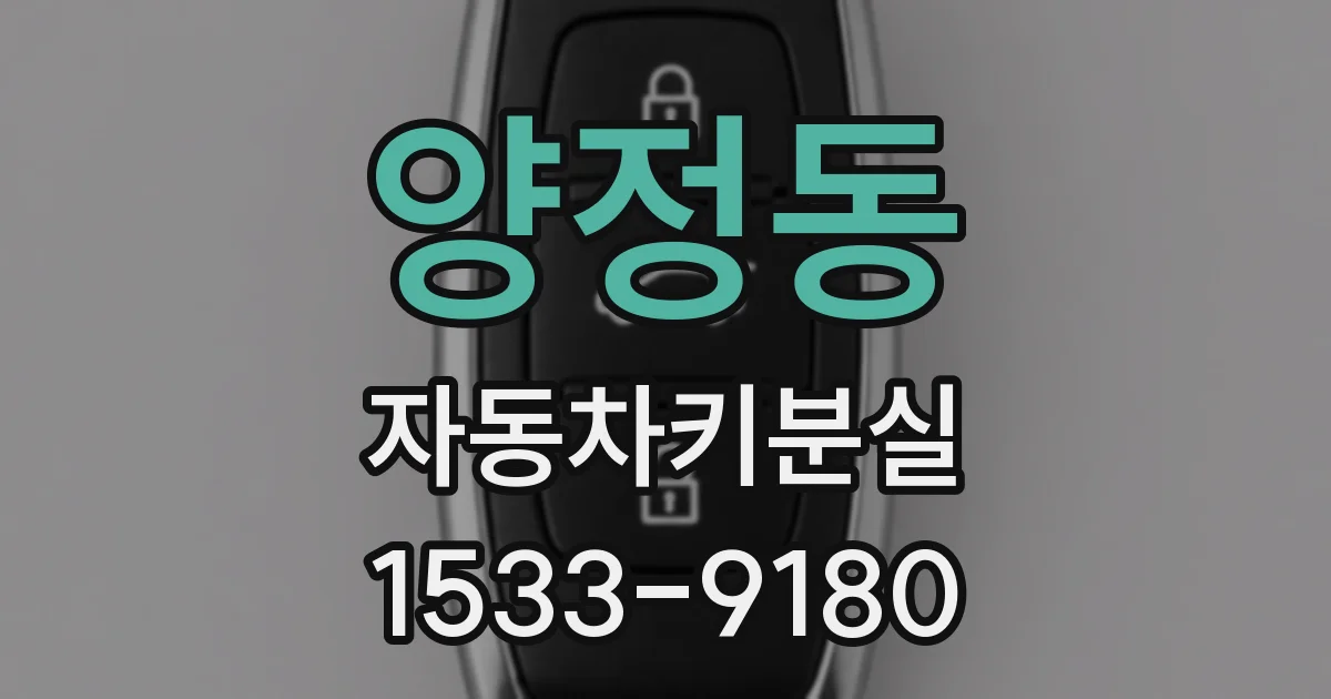양정동 자동차키분실