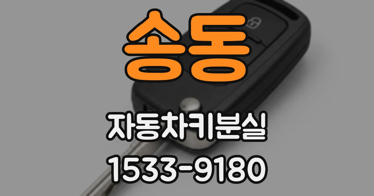 송동 자동차키분실
