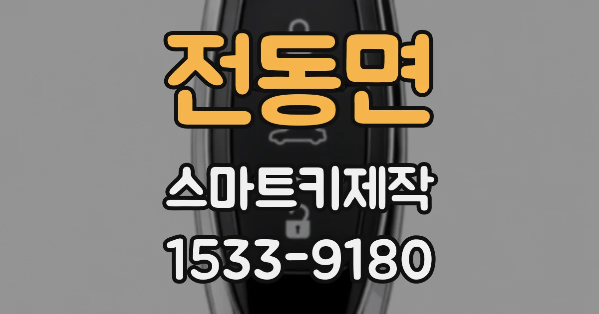 전동면 스마트키제작