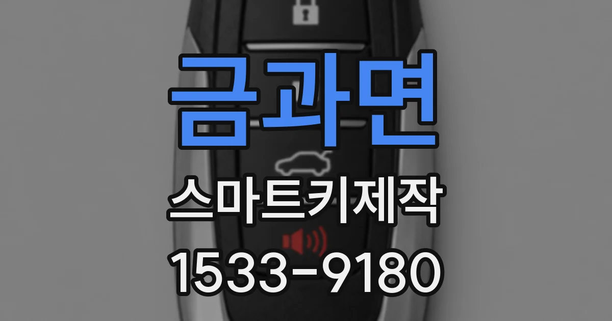 금과면 스마트키제작