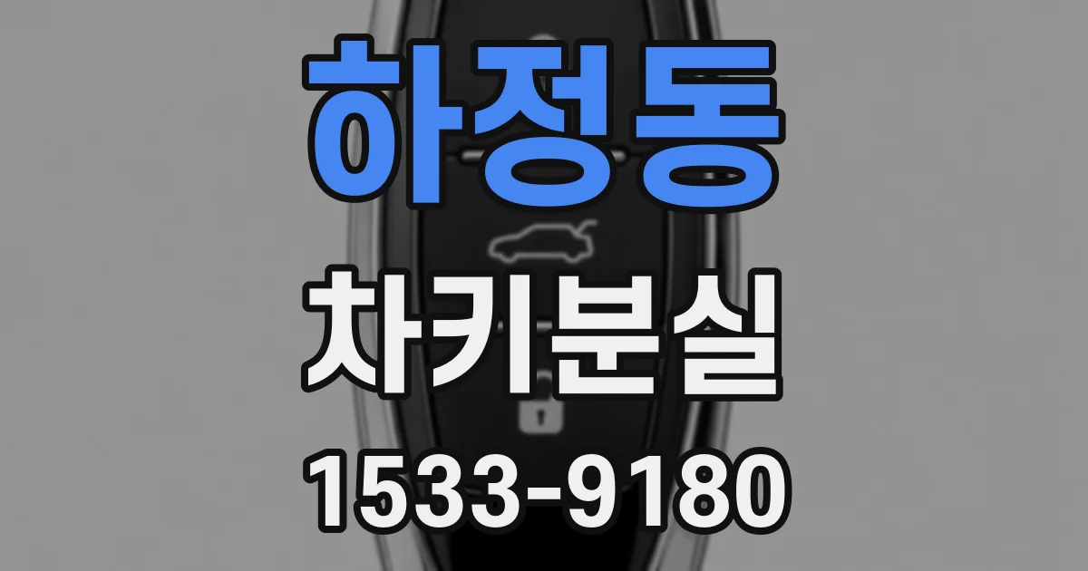 하정동 차키분실