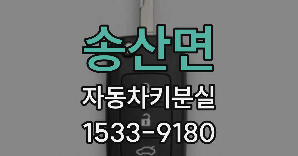 송산면 자동차키분실