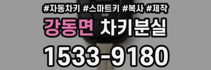 강동면 차키분실