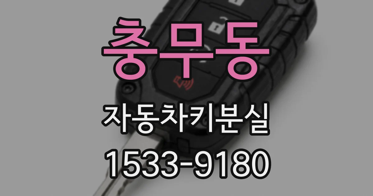 충무동 자동차키분실