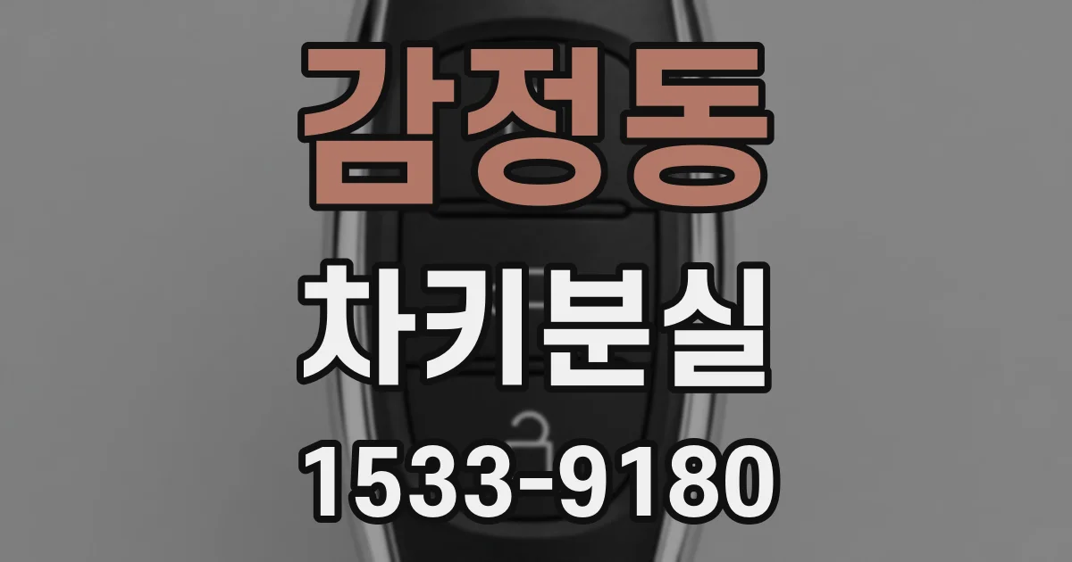감정동 차키분실