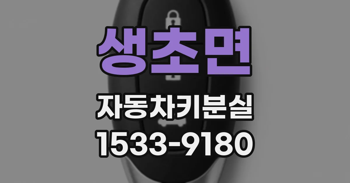 생초면 자동차키분실