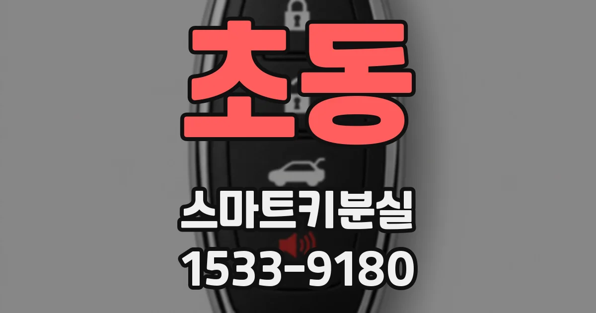 초동 스마트키분실
