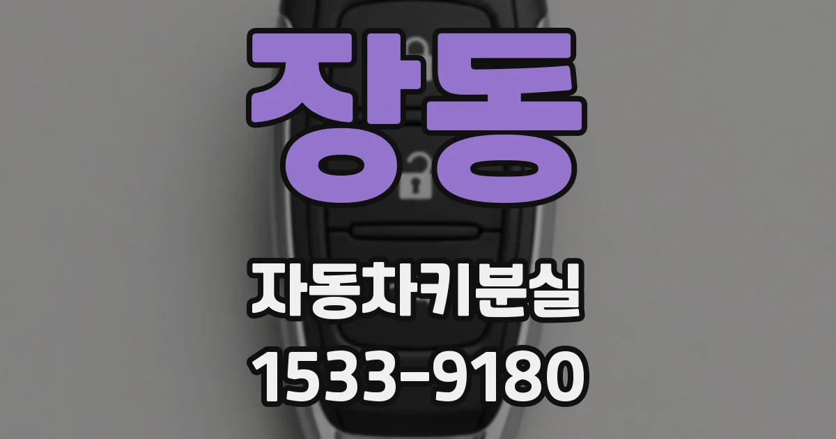 장동 자동차키분실