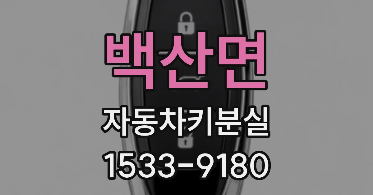 백산면 자동차키분실
