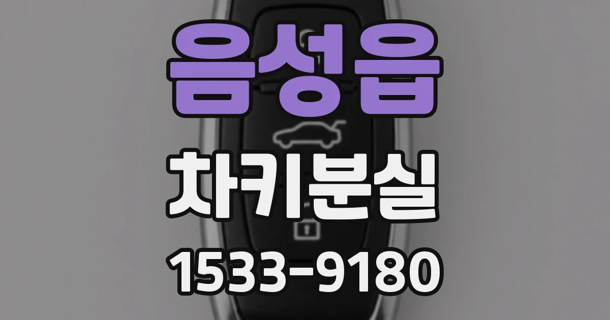 음성읍 차키분실