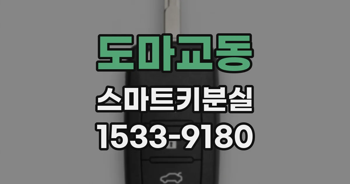 도마교동 스마트키분실
