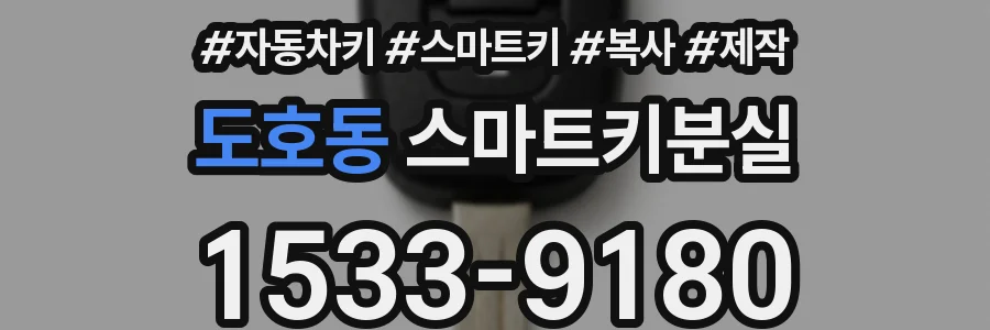 도호동 스마트키분실