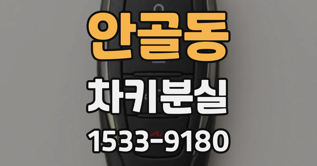 안골동 차키분실