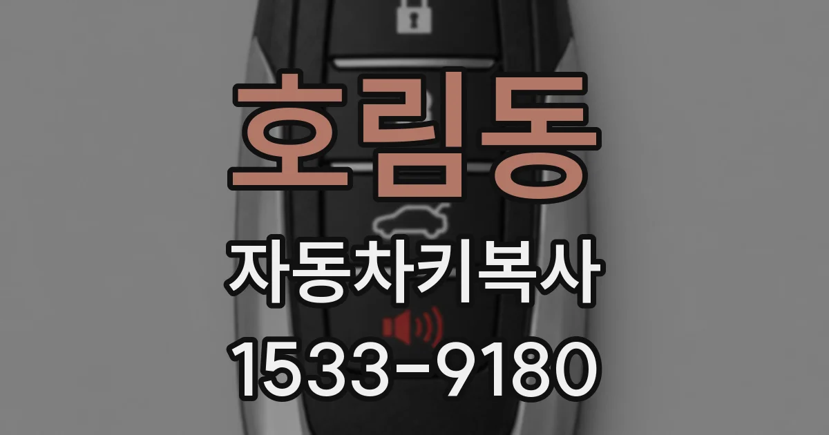 호림동 자동차키복사