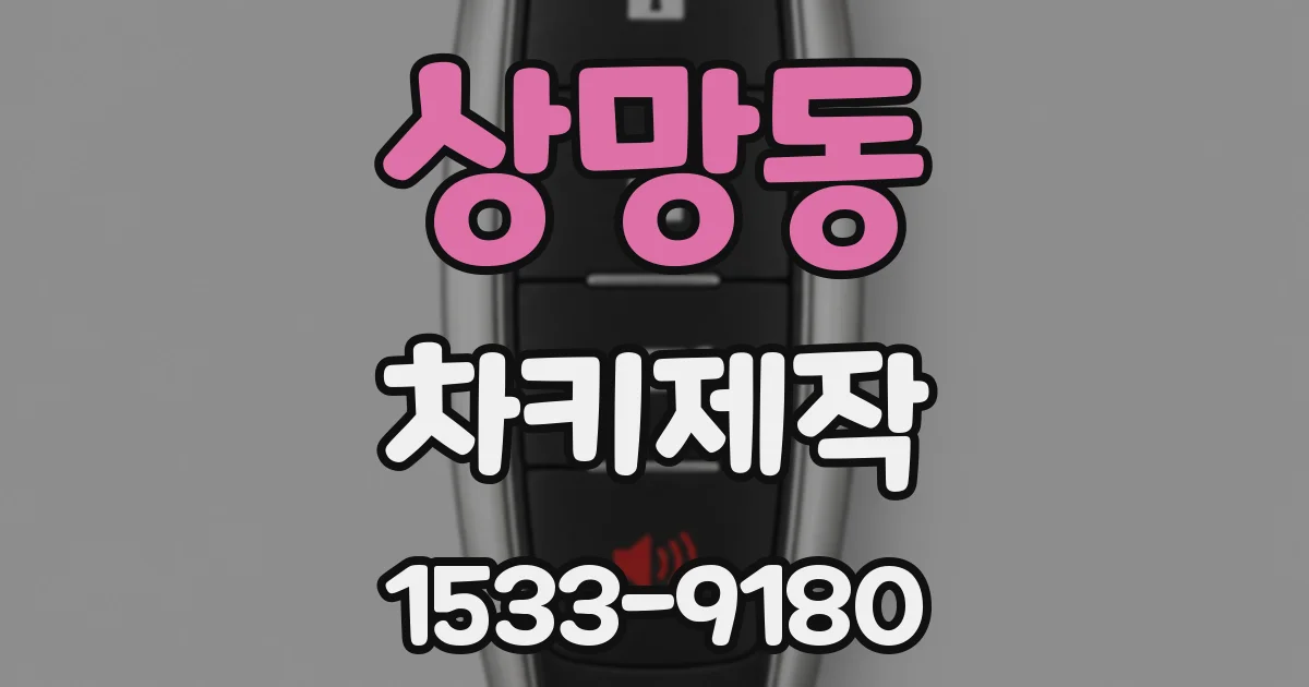 상망동 차키제작