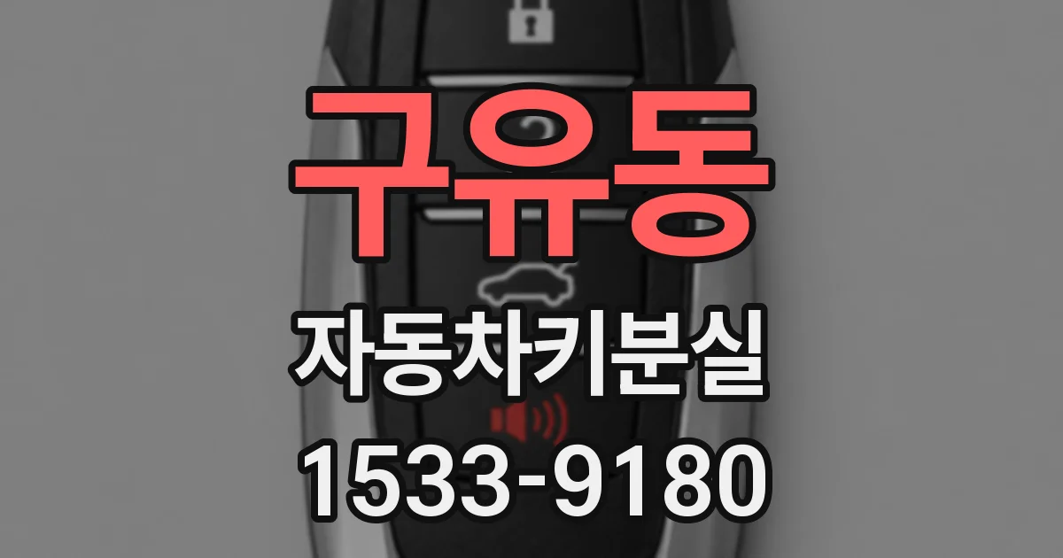 구유동 자동차키분실