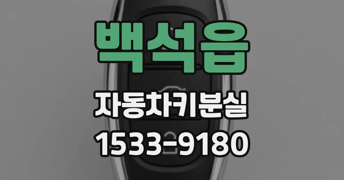 백석읍 자동차키분실