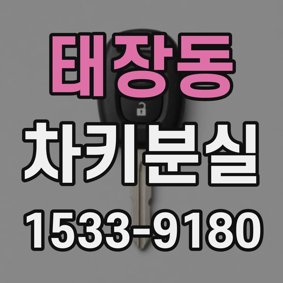 태장동 차키분실