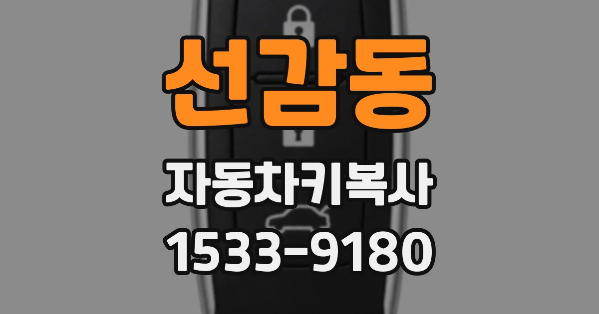 선감동 자동차키복사