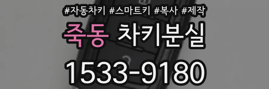 죽동 차키분실