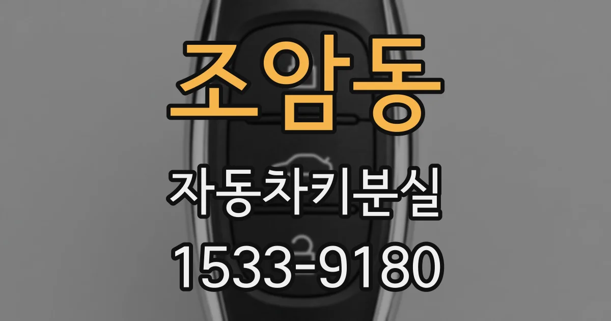 조암동 자동차키분실
